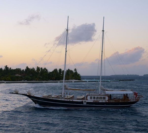 DREAM VOYAGER -  Profile 2