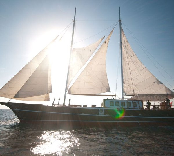 DREAM VOYAGER -  Profile