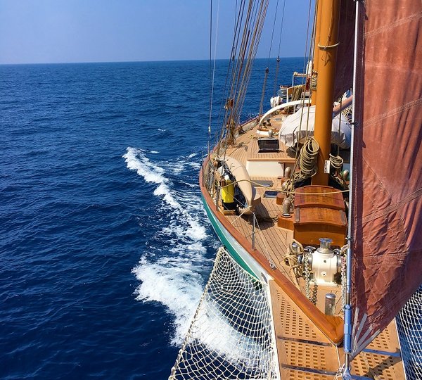 Dallinghoo March 2016 . 10