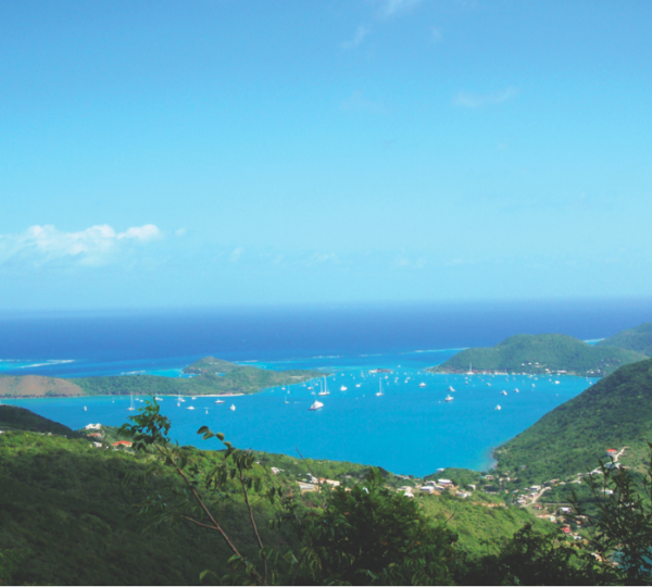 EL JEFE - charter grounds