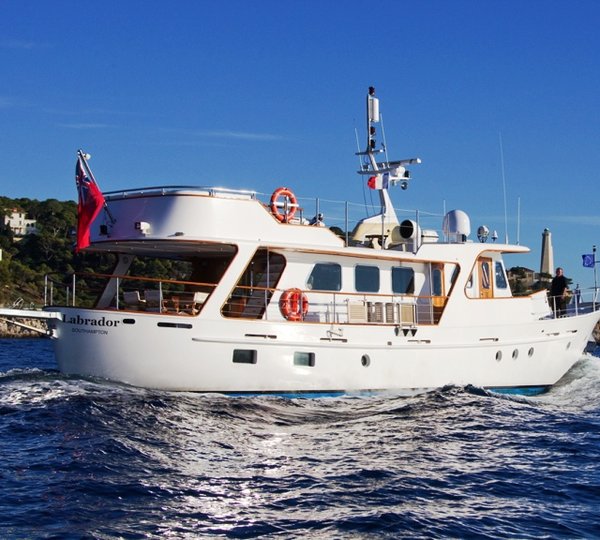 LABRADOR Cruising Rear