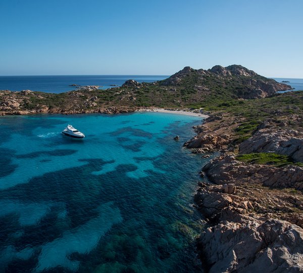 MY CHIMERA - Anchored