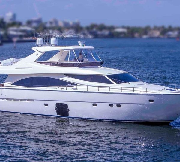 MY CRYSTAL PARROT - Main