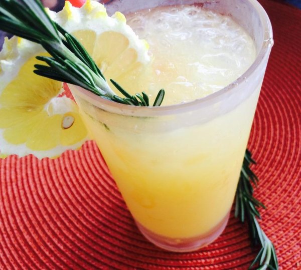 MY FIRST A FENCE - Refreshments