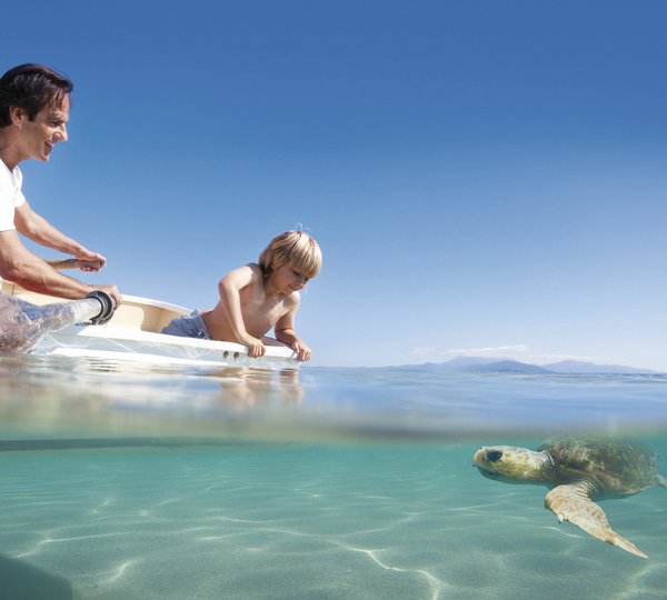 MY FLYING FISH - Sea life