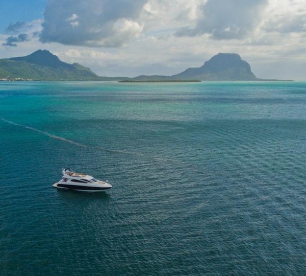 MY ROYAL ORCHID - Aerial shot