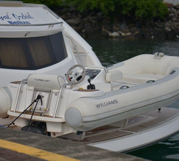 MY ROYAL ORCHID - Tender