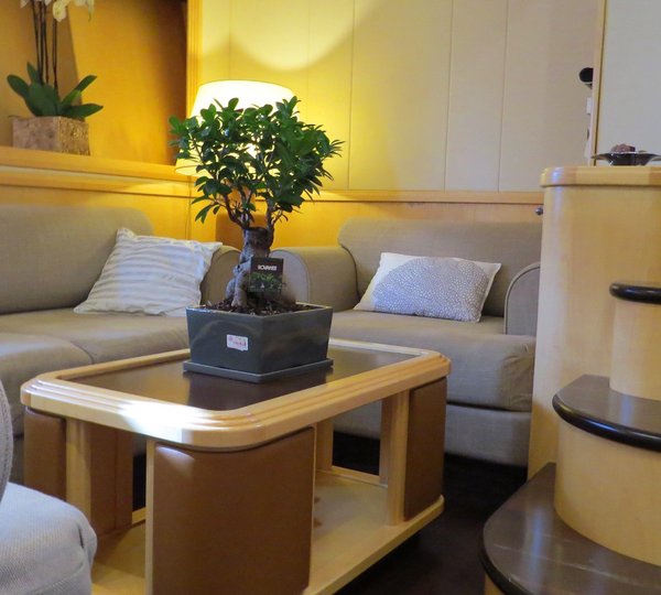 MY SANTA LUCIA FAST - Lower salon