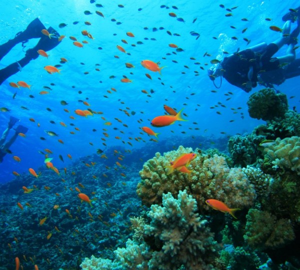 Motor Yacht ZINA - 015