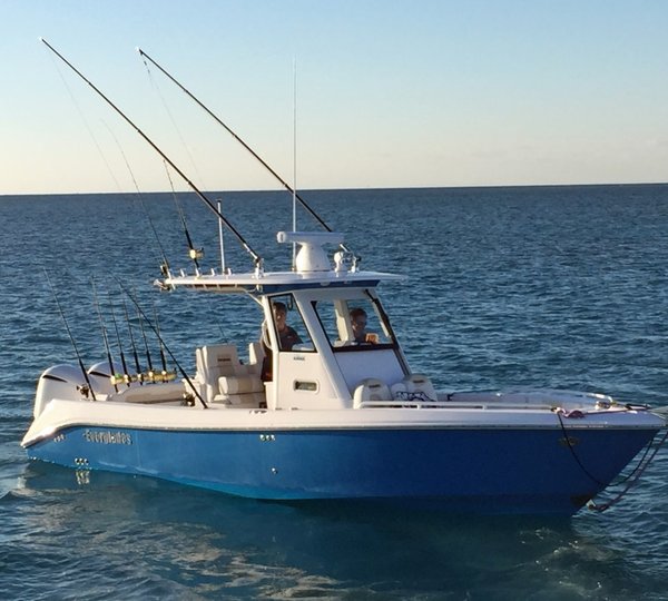 Motor yacht REFLECTIONS - Proline towed tender