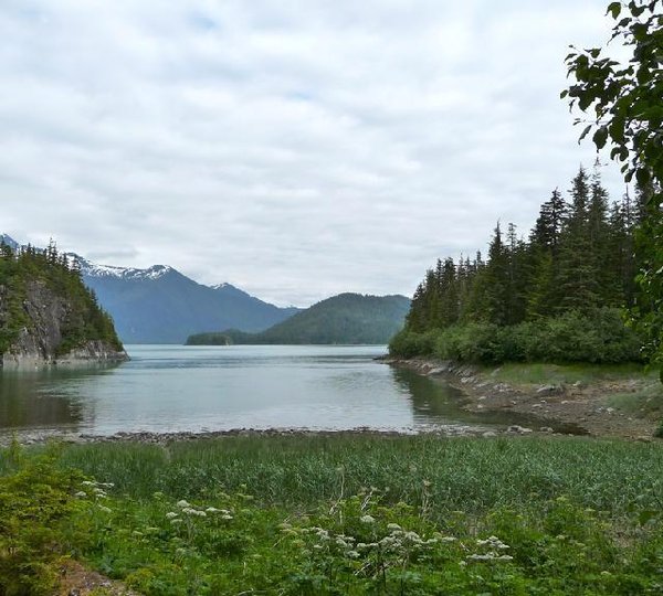 Motor yacht VIAGGIO - Alaskan Wilderness