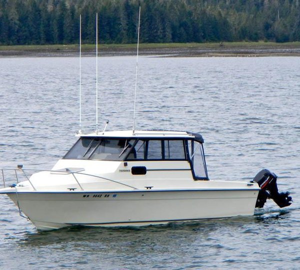 Motor yacht VIAGGIO - 21 ft Sport Boat