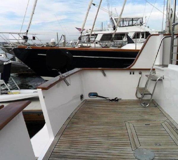 Motor yacht ZIA -  Cockpit