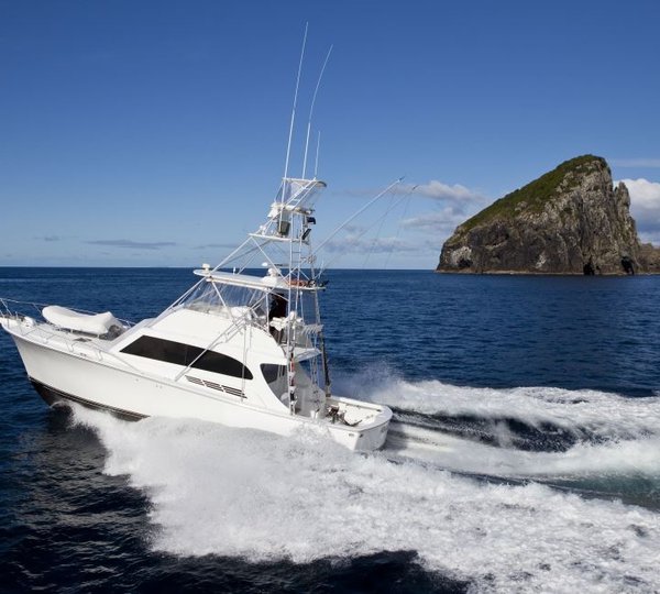 PACIFIC HQ -  Hook n Bull