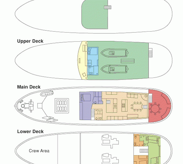 PACIFIC YELLOWFIN -  Layout