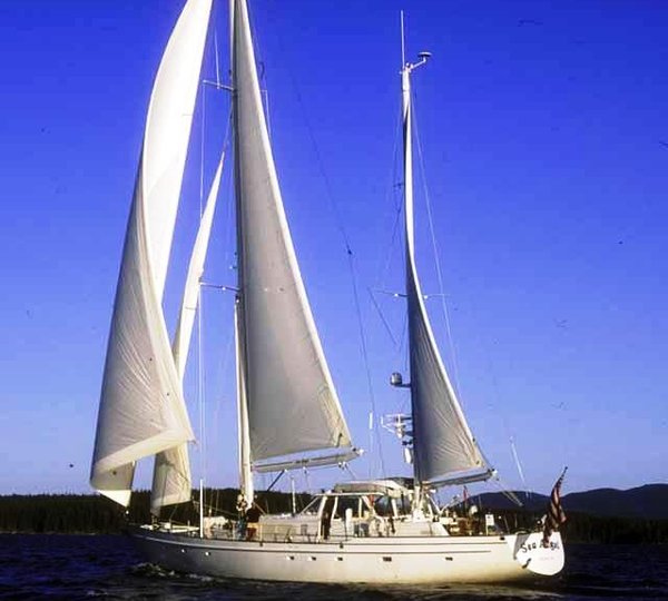 SEA ANGEL -  Profile