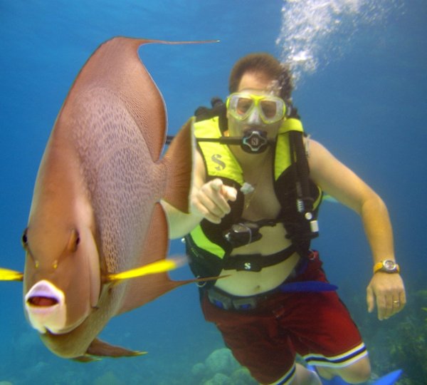 SOLSTICE -  Full Diving and Dive Instruction