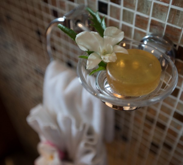 SY ORIENT PEARL - 005