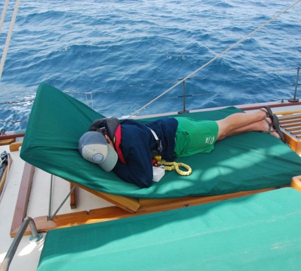 SY TREE OF LIFE - 007