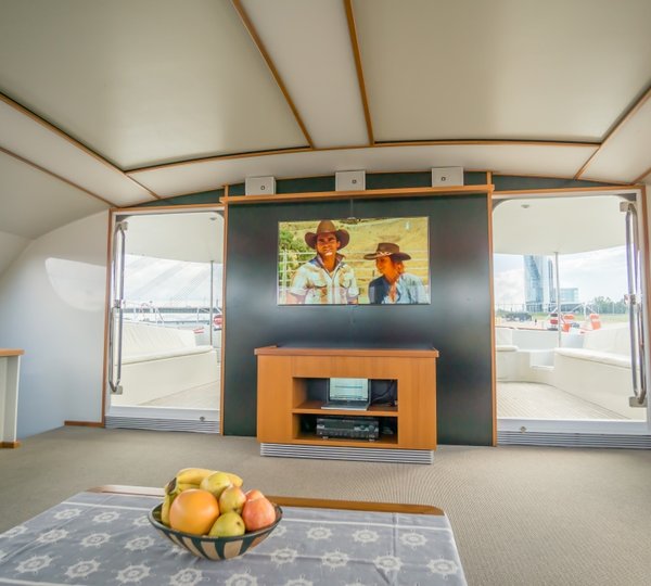 SY WILD CAT - Salon 2