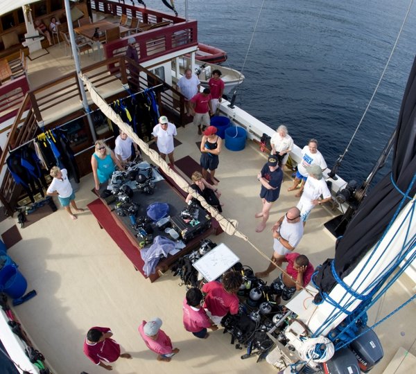 Seven Seas Dive Deck