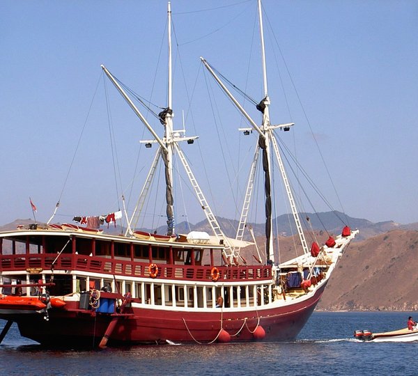 Seven Seas Komodo
