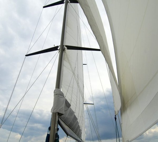 Tiger - Foredeck 2