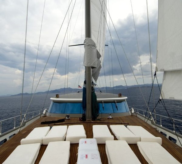 Tiger - Foredeck