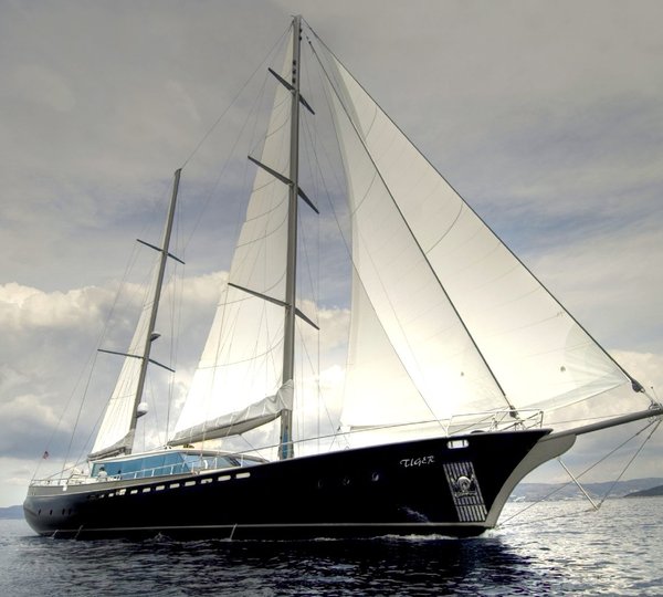 Tiger - Sailing Profile