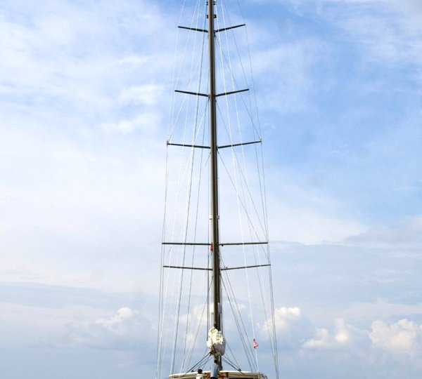 Tiger - Under Power Aft