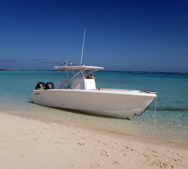 Yacht SEAS THE MOMENT - 29 ft SEA HUNTER 2011