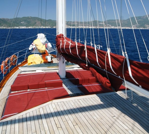 Yogun 1  Sun Loungers