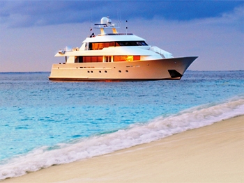 ARMS REACH Courtesy of Westport