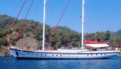 Nautilis - Photo Credit Nordwinds