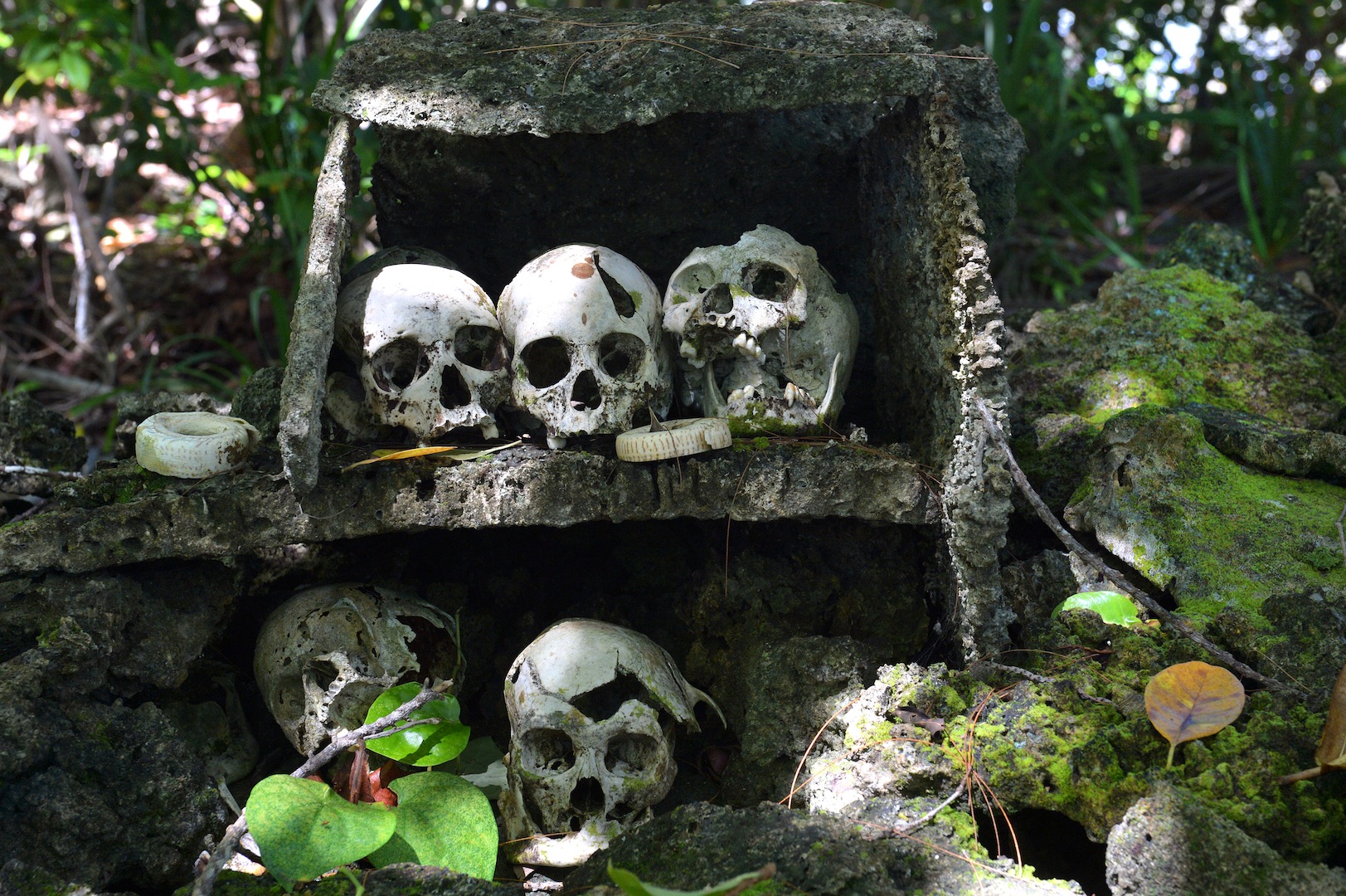 13 – Skulls of ancient chieftains (on top) and their victims (below) – Skull Island, Vona Vona Lagoon, Western Province - Photo credit to Solomon Islands Visitors Bureau (SIVB)