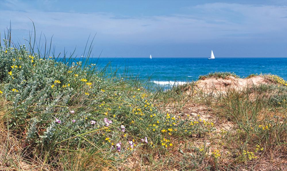 Playa del Saler - Photo credit Turismo Valencia
