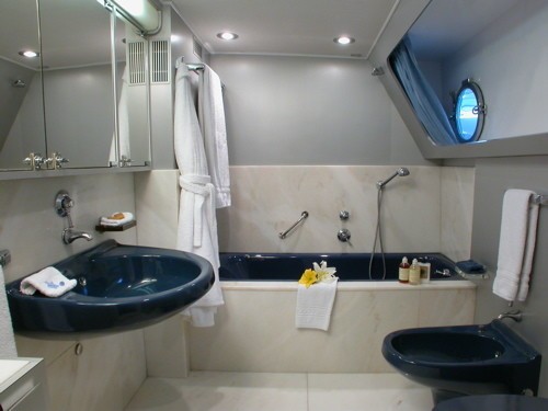 Premier Stateroom Bath On Yacht AVA