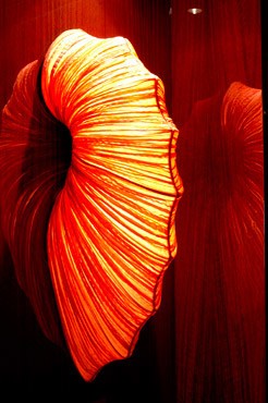 Close Up Aboard Yacht SEAFARIS