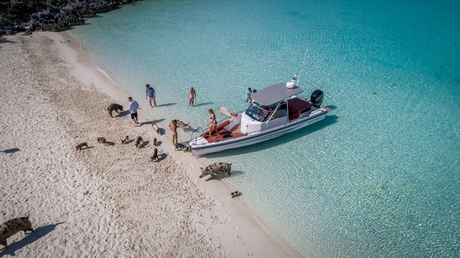 Blue Gryphon Yacht Charter Experience - Swimming With Pigs In The Bahamas