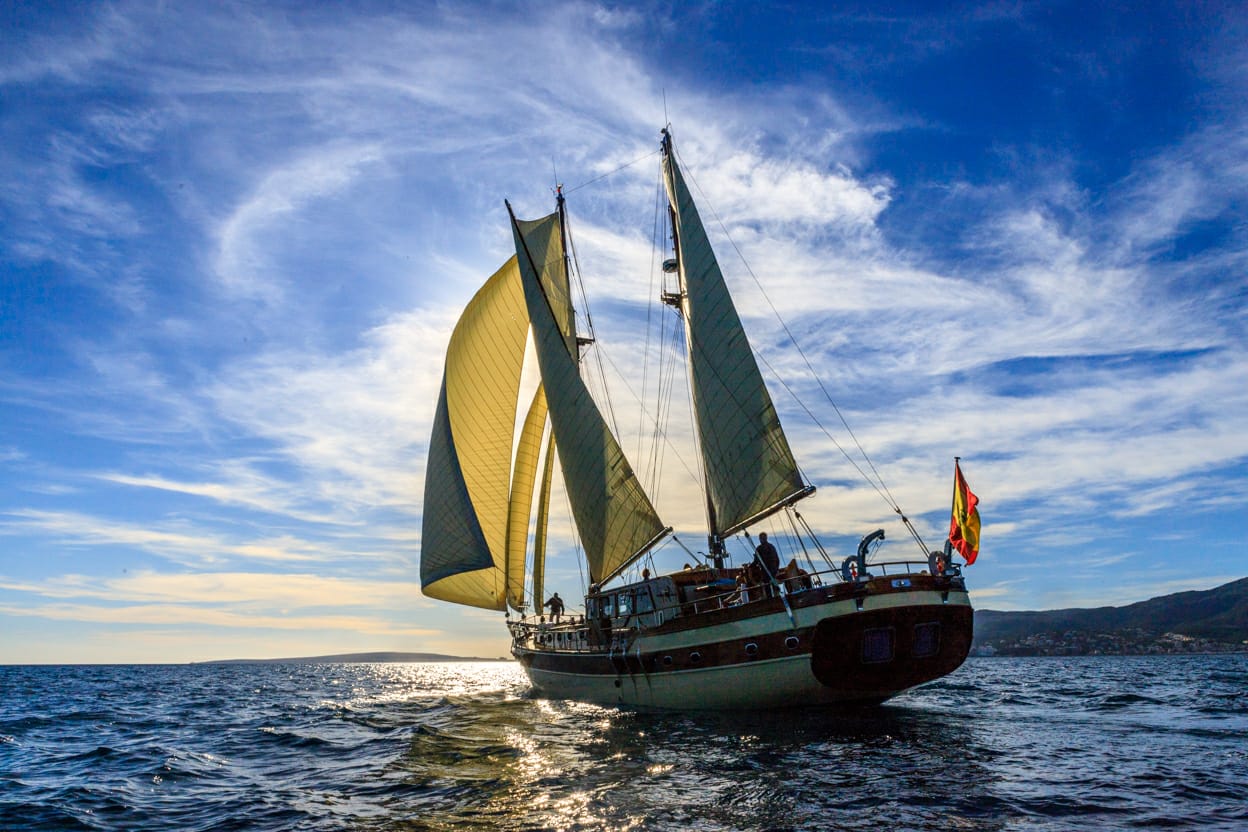 DIRDAM Sailing