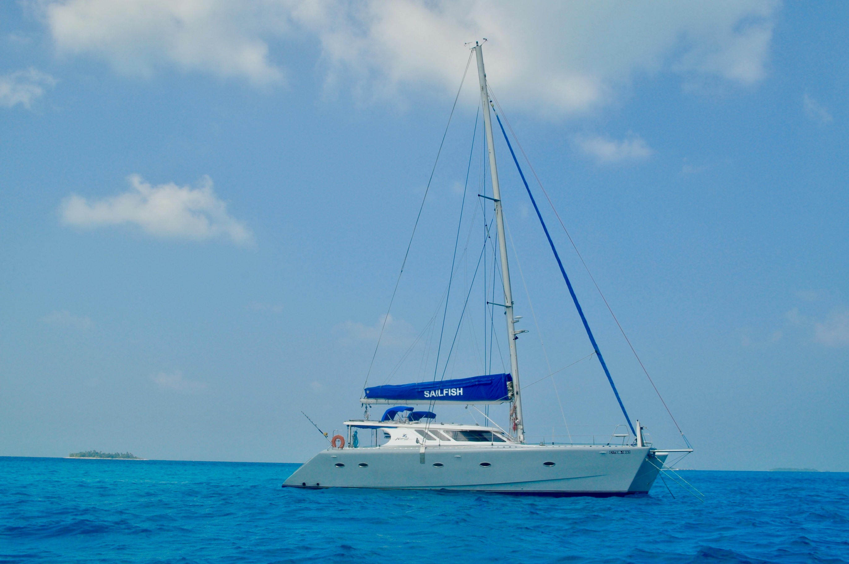 Catamaran SAILFISH - Profile
