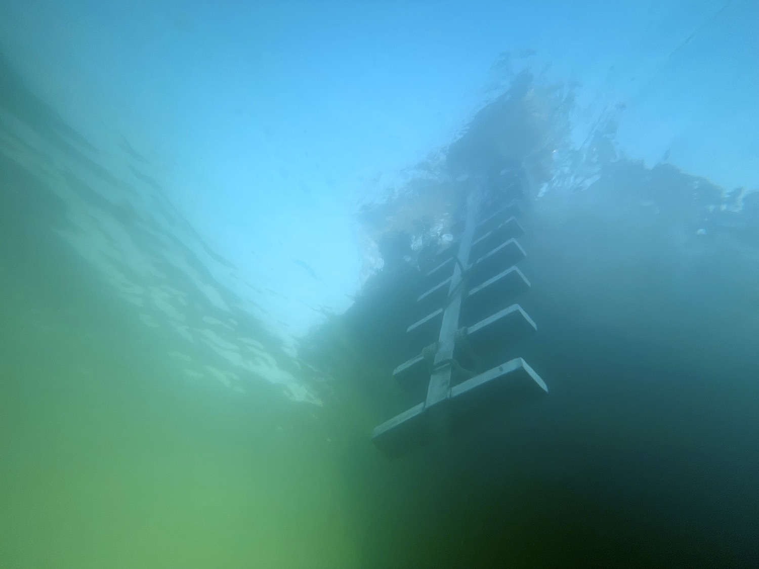 Dive Ladder