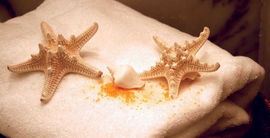 Starfish: Yacht ELEGANT 007's Close Up Captured