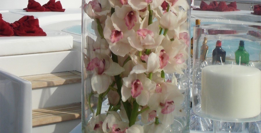 Flowers: Yacht ELEGANT 007's Close Up Captured