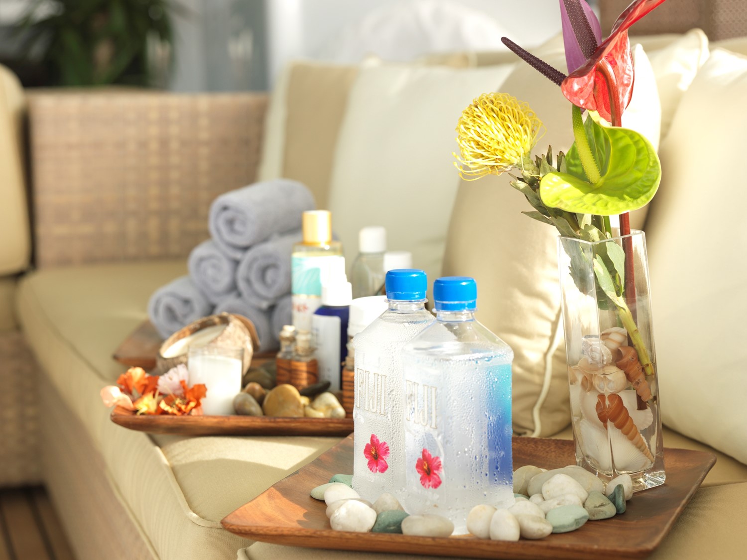 Spa Products Details