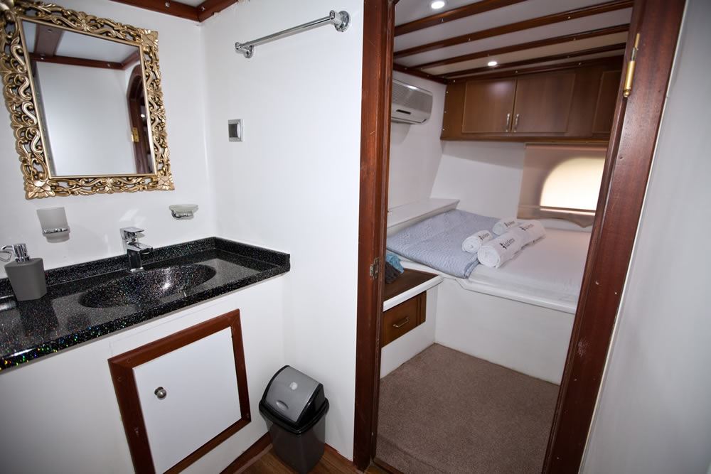 Ensuite With Cabin