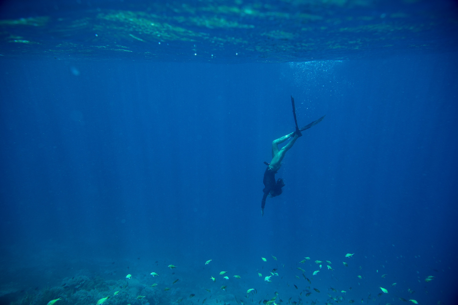 Free Diving In Indonesia