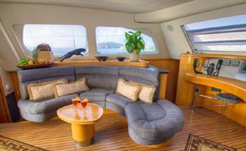 Catamaran SEA LEOPARD -  Salon