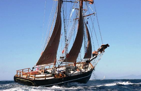 Classic Tall Ship RHEA -  Sailing