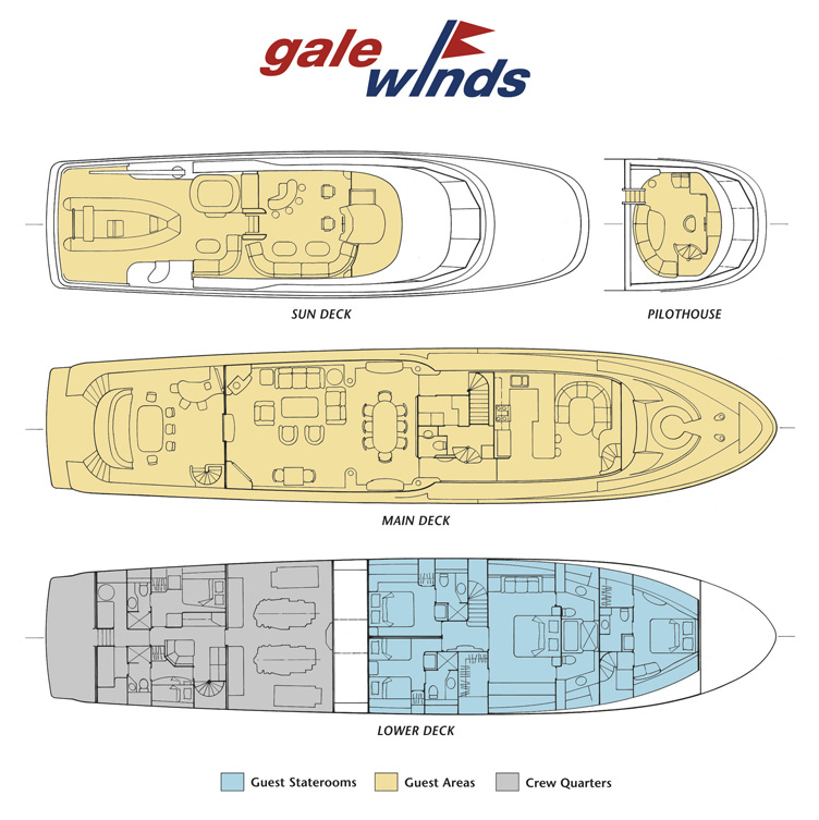GALE WINDS - Layout